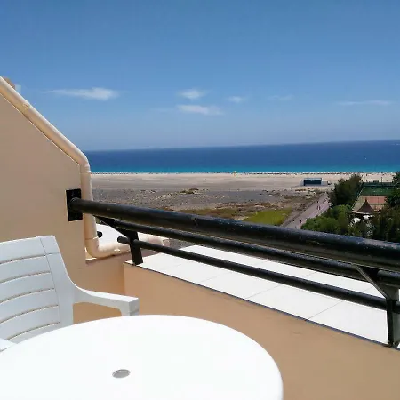 Palm Garden Apartment