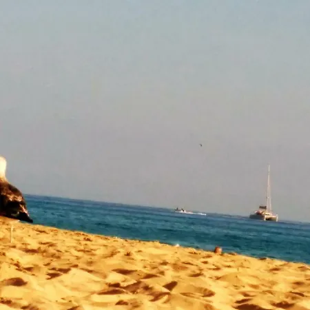 Palm Garden * Morro Jable (Fuerteventura)